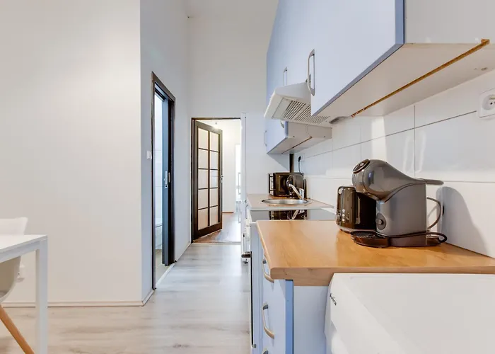 Chic And Modern